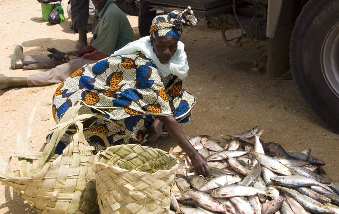 Mujer Senegalesa Con La Pesca