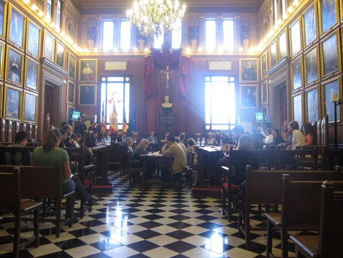 Sesión Plenaria Del Ayuntamiento De Palma