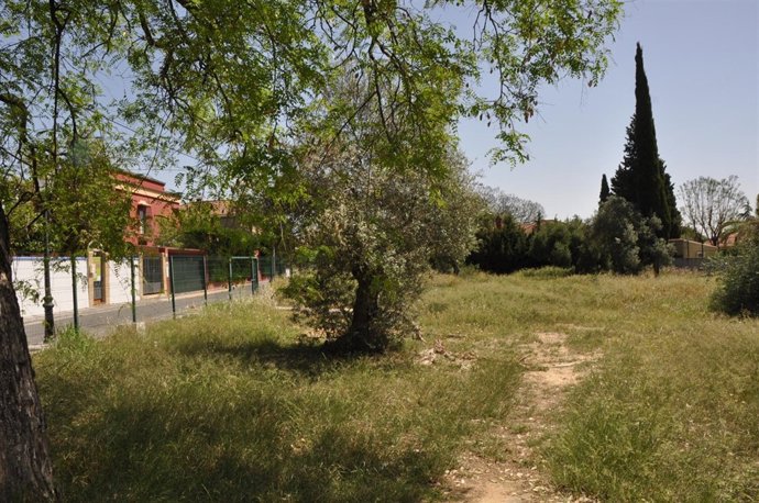 Parcelas En La Calle Cádiz En Tomares
