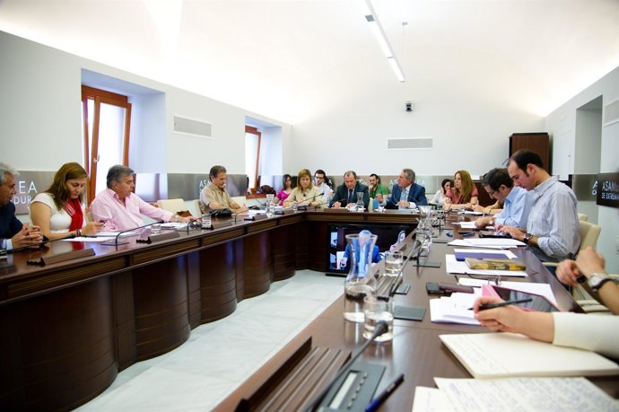 Comisión Haciendo Y Presupuestos De Extremadura
