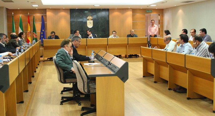 Sesión Extraordinaria Del Pleno De El Ejido