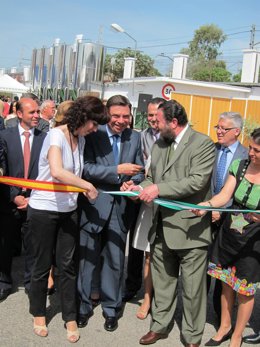 Planas, Hoy En La Inauguración De La Feria Del Olivo