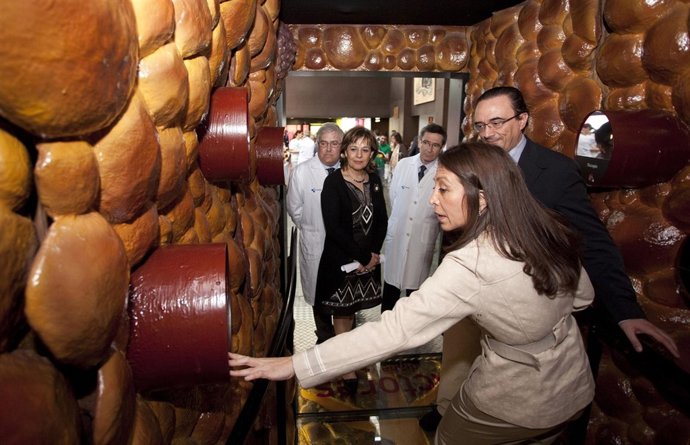 Parte De La Exposición Del Río Hortega