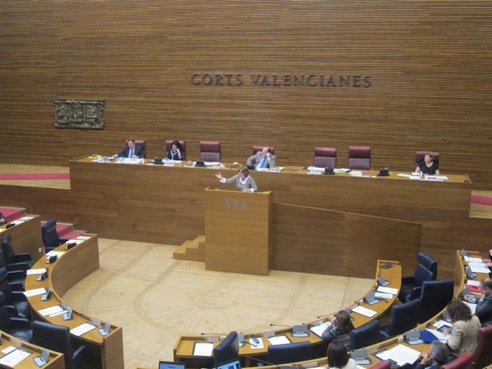 De Miguel, En La Tribuna De Las Corts, Defiende La Posición Del PP Sobre Emarsa
