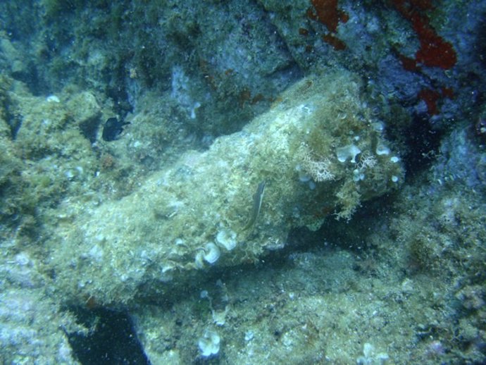 Uno De Los Proyectiles Hallados En La Costa De Sant Feliu