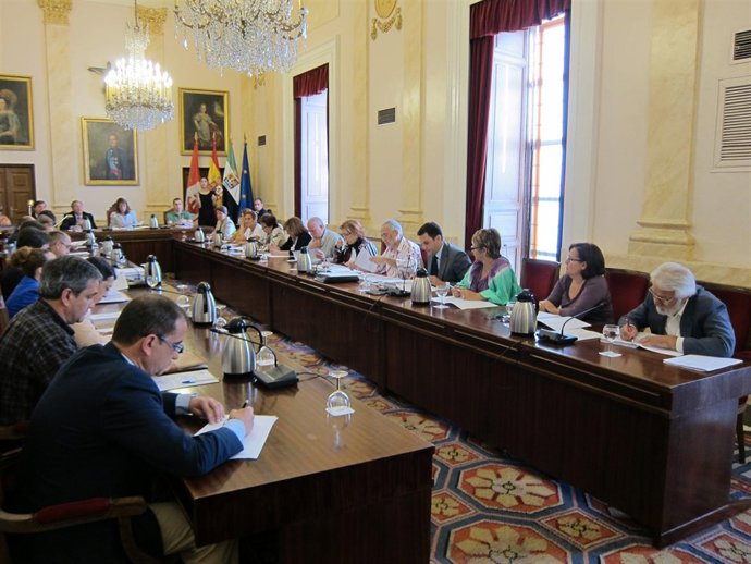 Pleno Extraordinario Sobre El Plan De Ajuste En Cáceres