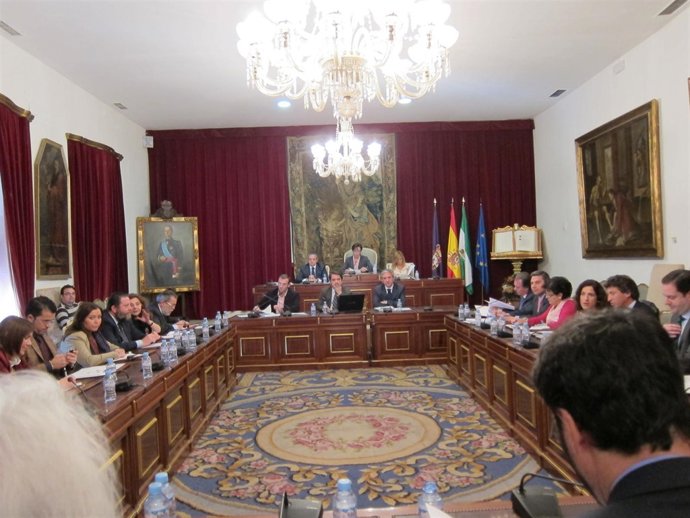 El Pleno De La Diputación 