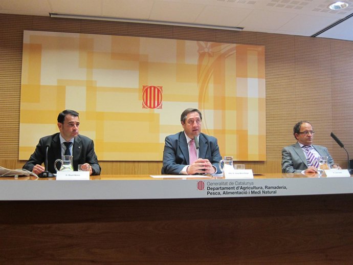 Josep Maria Pelegrí Y Miquel Molins