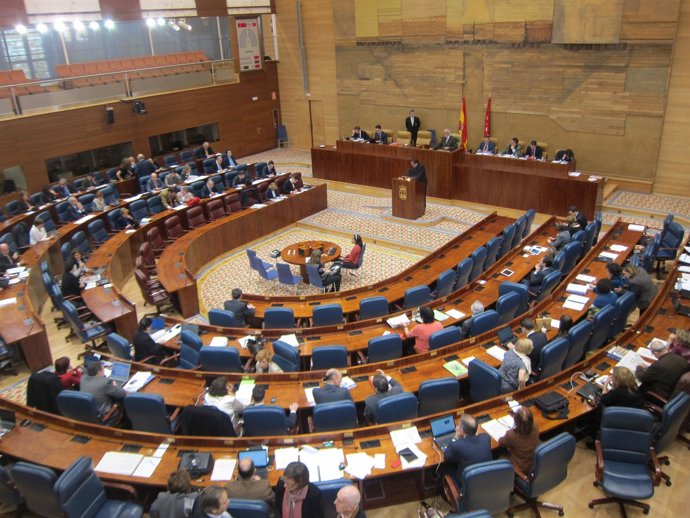 Pleno Presupuestos Asamblea