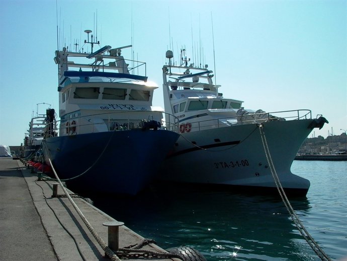 Barcos Que Operan Para Grupo Balfegó