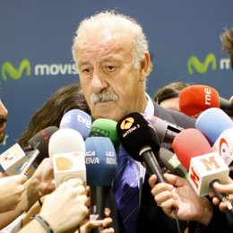 Vicente Del Bosque