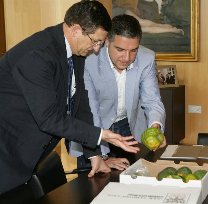 Elías Bendodo con un fruto subtropical de La Mayora