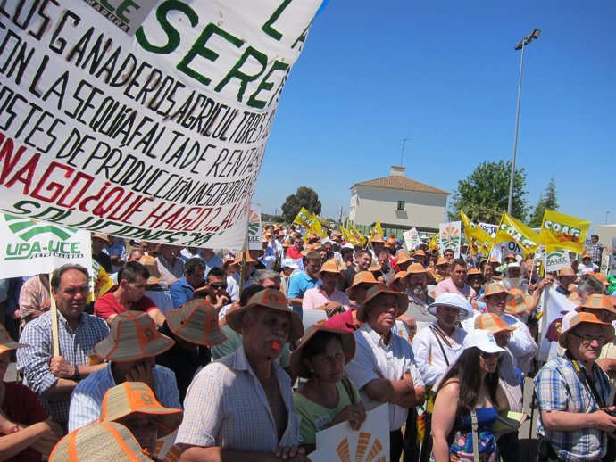 Manifestación En Mérida