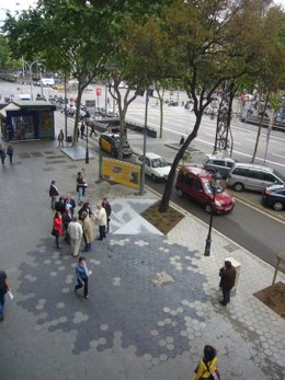 Reacreación De La Encina En El Pavimento De Paseo De Gràcia Que Glosó Verdaguer