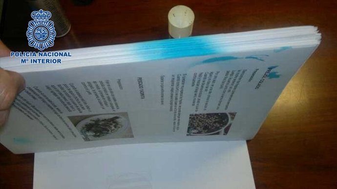 DESARTIICULADA BANDA DE NARCOS