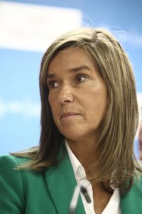 Mato hace "un llamamiento" contra el maltrato tras la última posible muerte por violencia de género sin denuncia previa