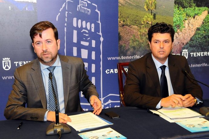 El Cabildo Fomentará La Creación De Empresas Tecnológicas                   