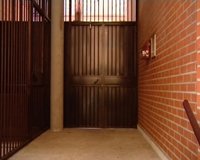 Vecinos de la mujer degollada en San Blas aseguran que nunca habían oído discusiones de la pareja