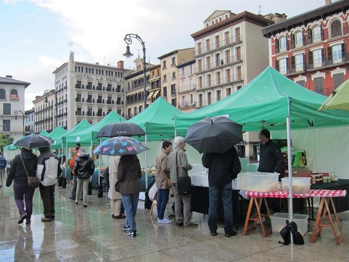 Fundagro-UAGN Celebra El Día Del Espárrago De Navarra.
