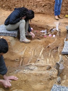 Exhumación Fosas Cazalla De La Sierra (Sevilla)