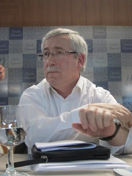  Ignacio Fernández Toxo