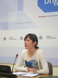 El BNG urge empezar las conversaciones para que haya un nuevo valedor antes de que acabe el período de sesiones