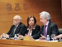 Amorós En La Comisión De Investigación De La CAM