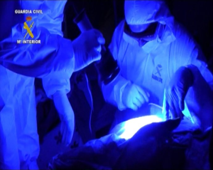 Detenidas dos personas por crimen de Xermade (Lugo)