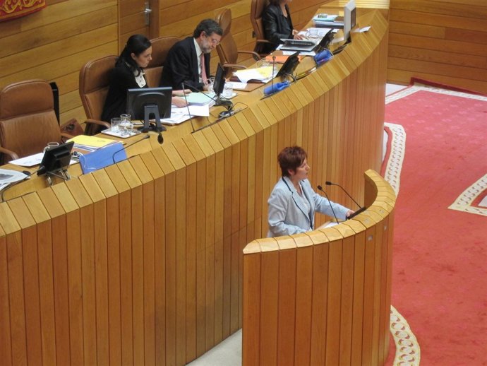 La Conselleira De Sanidade en el pleno