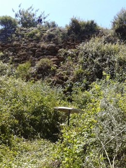 Imagen del lugar del accidente