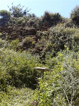 Imagen del lugar del accidente