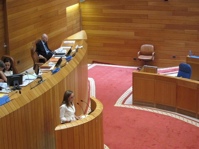 La Conselleira de Facenda en el pleno