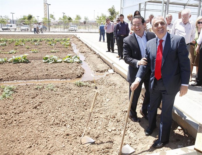 Bellver Y Aleixandre En Un Huerto Urbano