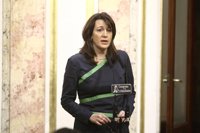 El PSOE entiende la "queja" del TC y culpa al PP de no hacer "absolutamente" nada por desbloquear la renovación