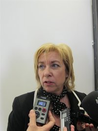 Serrat asegura que la educación pública en Aragón "no está en riesgo"