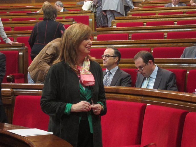 Irene Rigau, En El Parlament