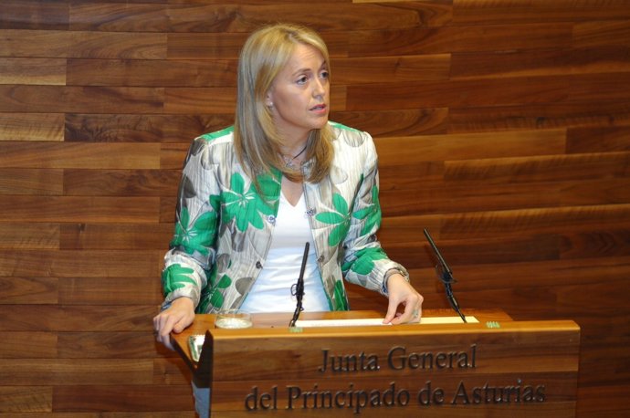 Cristina Coto, mientres la so Intervención na Xunta Xeneral.