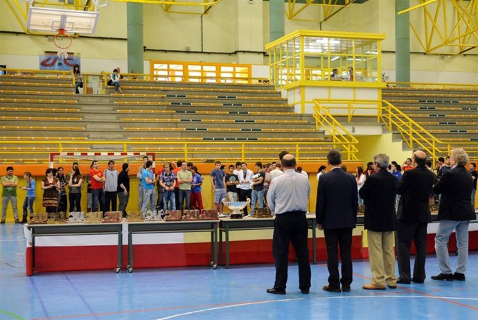 Jornada Del Deporte