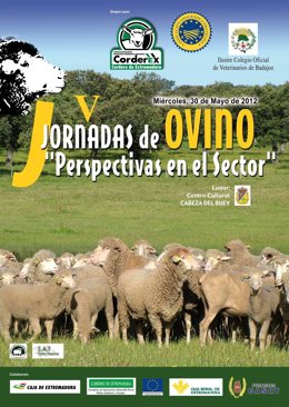 V Jornadas De Ovino De Corderex