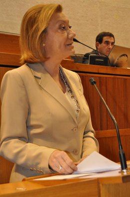 Luisa Fernanda Rudi, En El Pleno De Hoy