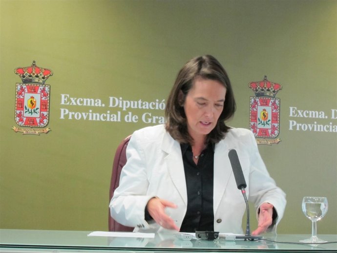 Vicepresidenta Primera De La Diputación, Luisa García Chamorro