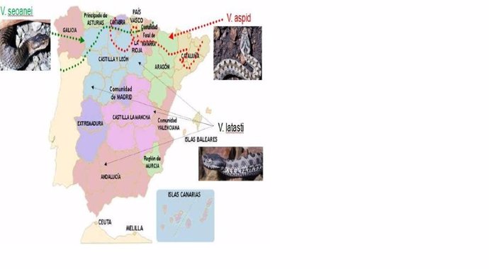 Mapa De La Distribución De Víboras En España
