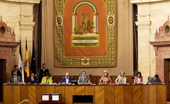 Imagen Del Pleno Del Parlamento