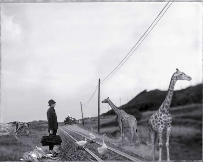 Imagen Ganadora Del Concurso Fotográfico 'Caminos De Hierro'