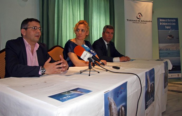 NP Y Foto Turismo De Cetáceos