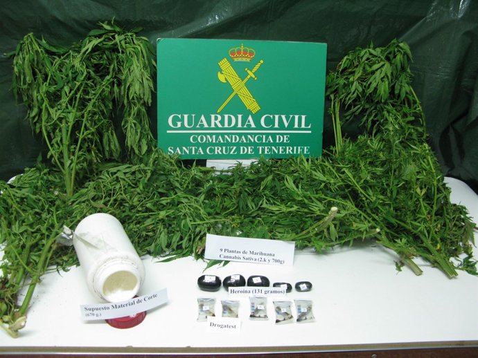 Material Interceptado