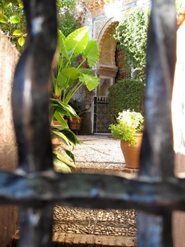 Junta Premia La Fotografía Que Erradica Tópicos Sobre La Población Inmigrante