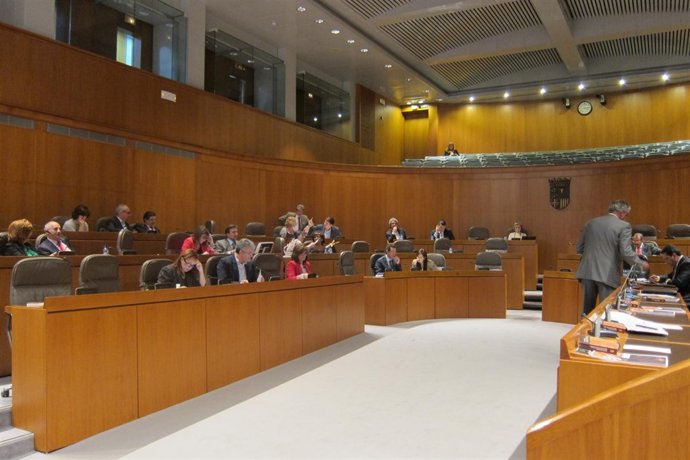 Pleno De Las Cortes De Aragón