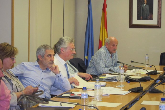 Reunión De Parlamentarios Asturianos