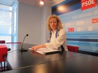 Tezanos dice que Diego ha estado "engañando todo el tiempo" sobre el "falso compromiso" de Rajoy con Valdecilla